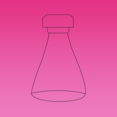 Erlenmeyer Flask, Threaded, Microscale, Glass